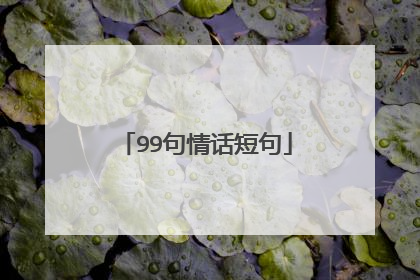 99句情话短句