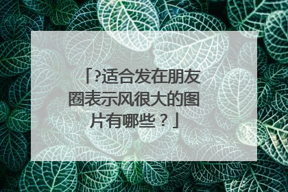 ?适合发在朋友圈表示风很大的图片有哪些？