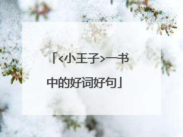 <小王子>一书中的好词好句
