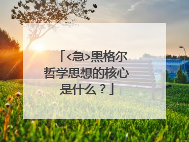 <急>黑格尔哲学思想的核心是什么?