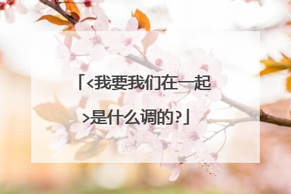 <我要我们在一起>是什么调的?