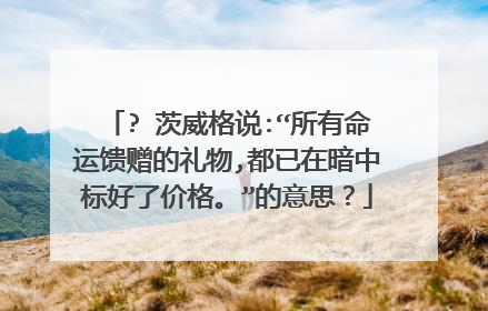 ? 茨威格说:“所有命运馈赠的礼物,都已在暗中标好了价格。”的意思？
