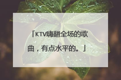 KTV嗨翻全场的歌曲,有点水平的。