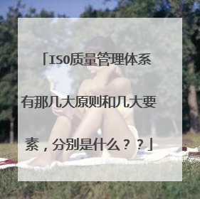 ISO质量管理体系有那几大原则和几大要素，分别是什么？？