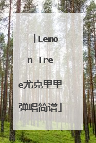 Lemon Tree尤克里里弹唱简谱