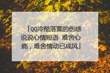 QQ冷酷落寞的伤感说说心情短语 难舍心痛,难舍情动已成风