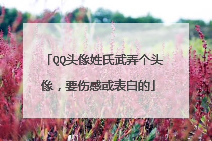 QQ头像姓氏武弄个头像,要伤感或表白的