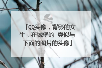 QQ头像,背影的女生,在城堡的 类似与下面的图片的头像