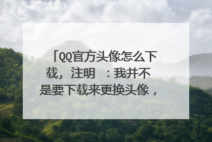 QQ官方头像怎么下载, 注明 :我并不是要下载来更换头像,是觉得这个图片很漂亮,我想下载到电脑上