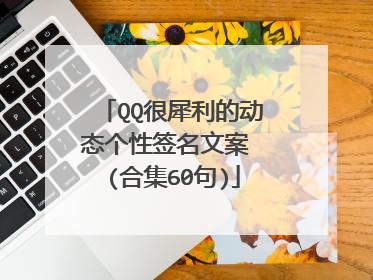 QQ很犀利的动态个性签名文案 (合集60句)