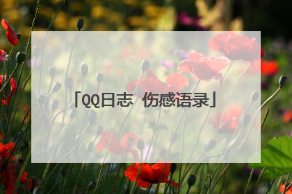 QQ日志 伤感语录