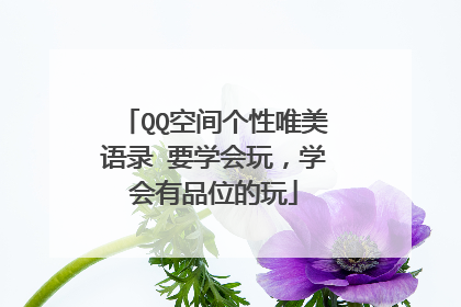 QQ空间个性唯美语录 要学会玩,学会有品位的玩