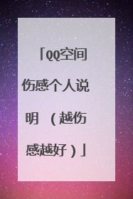 QQ空间伤感个人说明 (越伤感越好)
