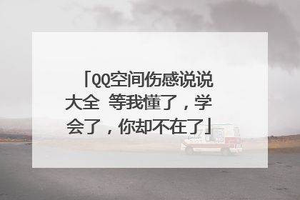 QQ空间伤感说说大全 等我懂了，学会了，你却不在了