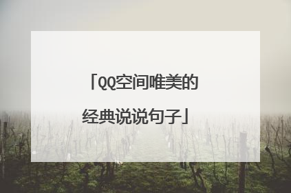 QQ空间唯美的经典说说句子