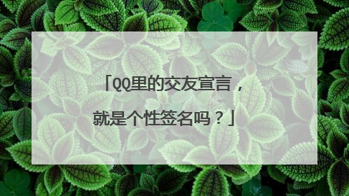 QQ里的交友宣言，就是个性签名吗？