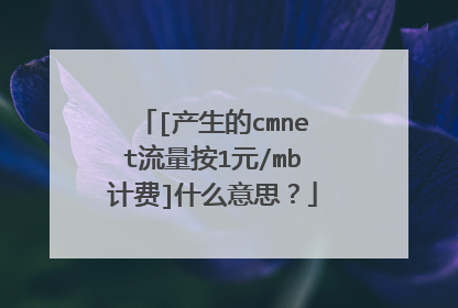 [产生的cmnet流量按1元/mb计费]什么意思？