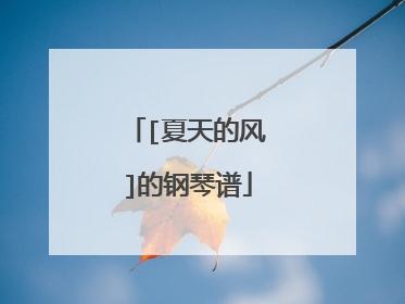 [夏天的风]的钢琴谱