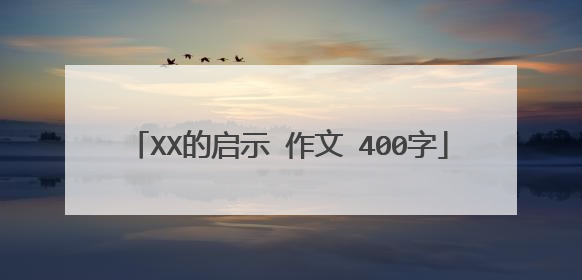 XX的启示 作文 400字