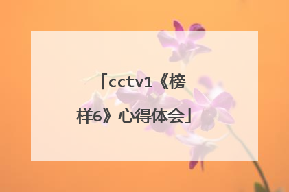 cctv1《榜样6》心得体会
