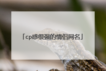 cp感很强的情侣网名