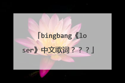 bingbang《loser》中文歌词???
