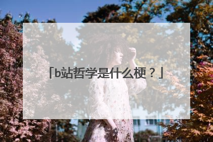 b站哲学是什么梗？