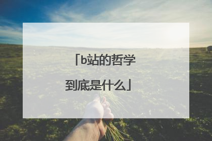 b站的哲学到底是什么
