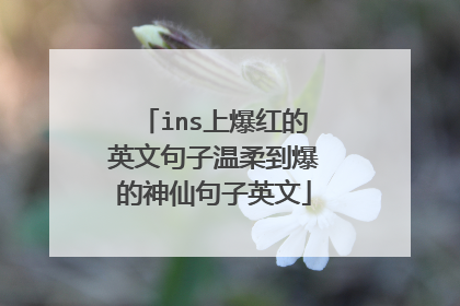 ins上爆红的英文句子温柔到爆的神仙句子英文