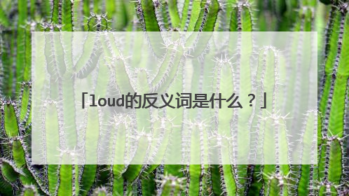 loud的反义词是什么？