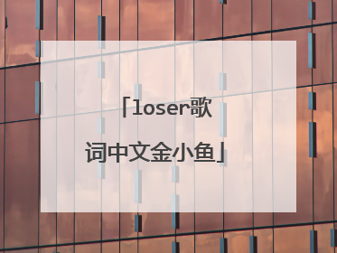 loser歌词中文金小鱼