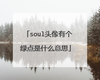 soul头像有个绿点是什么意思