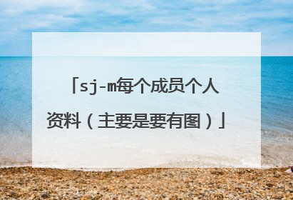 sj-m每个成员个人资料(主要是要有图)