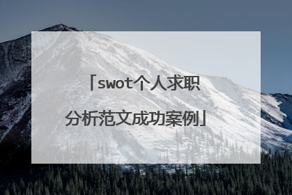 swot个人求职分析范文成功案例