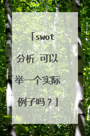 swot分析 可以举一个实际例子吗?