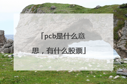 pcb是什么意思,有什么股票