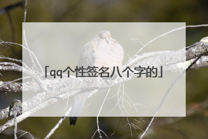 qq个性签名八个字的
