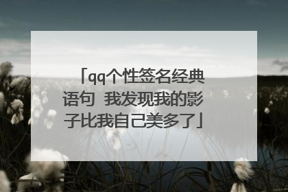 qq个性签名经典语句 我发现我的影子比我自己美多了