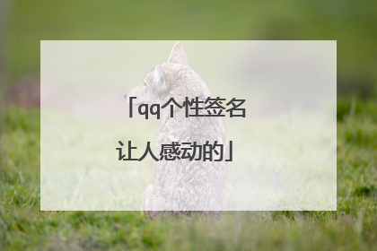 qq个性签名让人感动的