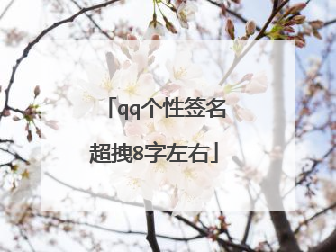 qq个性签名超拽8字左右