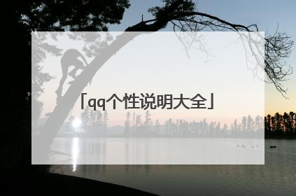qq个性说明大全