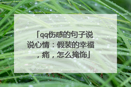 qq伤感的句子说说心情:假装的幸福,痛,怎么掩饰