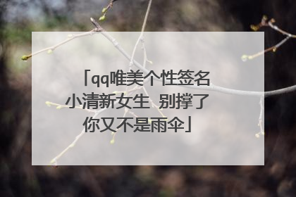 qq唯美个性签名小清新女生 别撑了你又不是雨伞