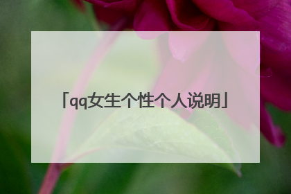 qq女生个性个人说明