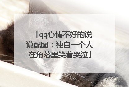qq心情不好的说说配图:独自一个人在角落里笑着哭泣