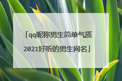 qq昵称男生简单气质 2021好听的男生网名