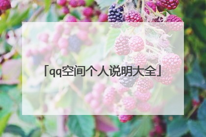 qq空间个人说明大全