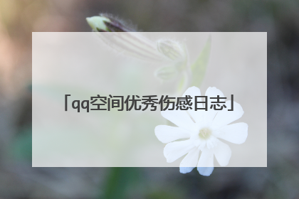 qq空间优秀伤感日志
