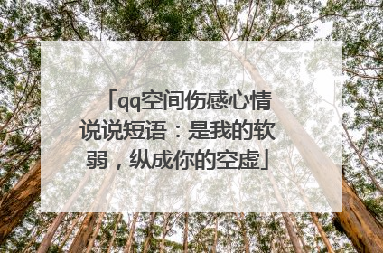 qq空间伤感心情说说短语:是我的软弱,纵成你的空虚