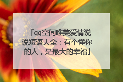 qq空间唯美爱情说说短语大全：有个懂你的人，是最大的幸福